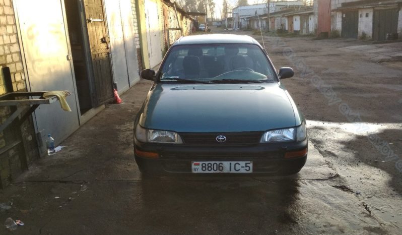 Toyota Corolla 1996 полный