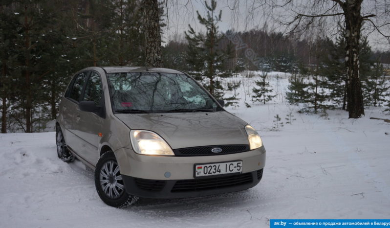 Ford Fiesta 2003 полный