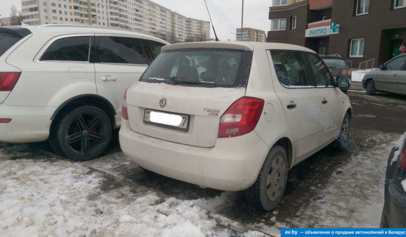 Skoda Fabia 2010 полный