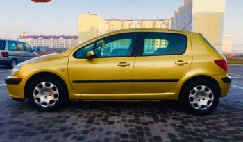 Peugeot 307 2003 полный