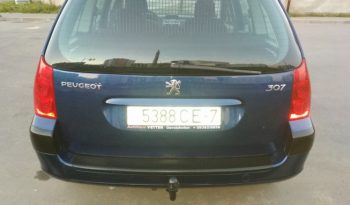 Peugeot 307 2003 полный