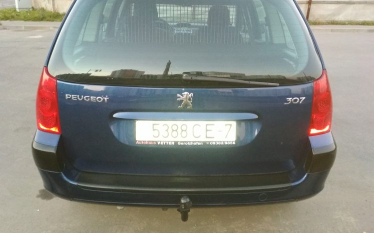 Peugeot 307 2003 полный