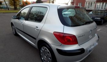 Peugeot 307 2004 полный