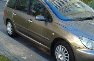 Peugeot 307 2004 полный