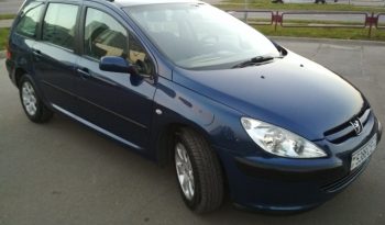 Peugeot 307 2003 полный