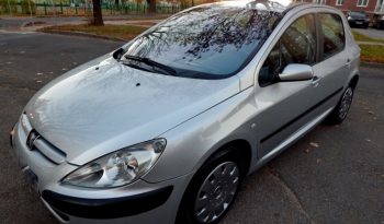 Peugeot 307 2004 полный