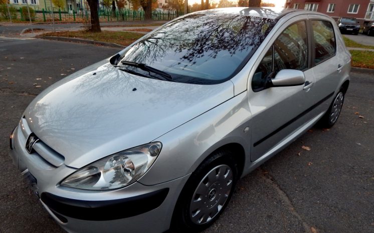 Peugeot 307 2004 полный