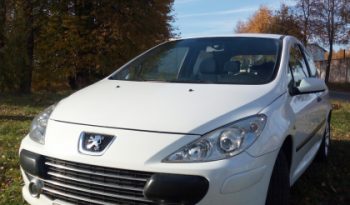 Peugeot 307 2004 полный