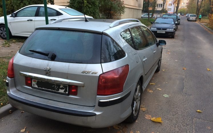 Peugeot 407 2004 полный