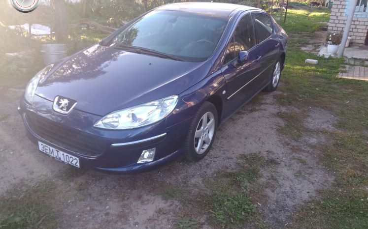 Peugeot 407 2004 полный