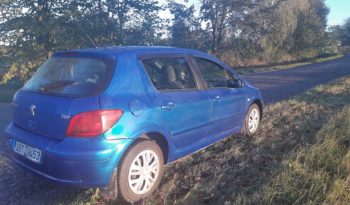 Peugeot 307 2002 полный