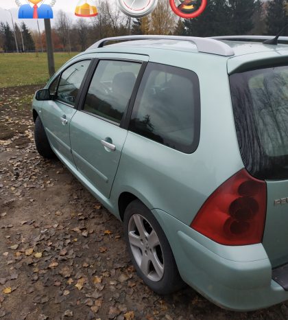 Peugeot 307 2002 полный