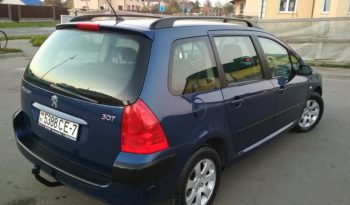 Peugeot 307 2003 полный