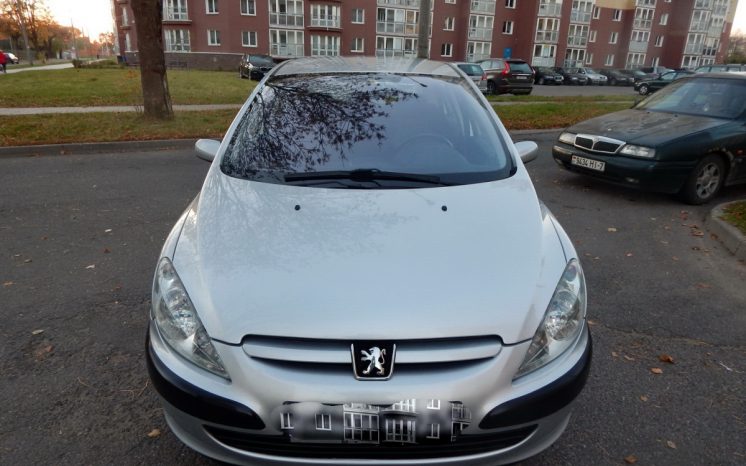 Peugeot 307 2004 полный