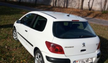 Peugeot 307 2004 полный