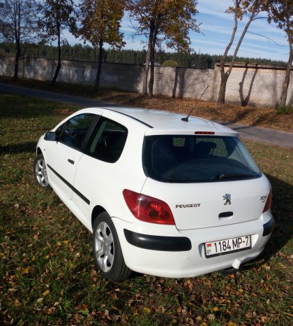 Peugeot 307 2004 полный