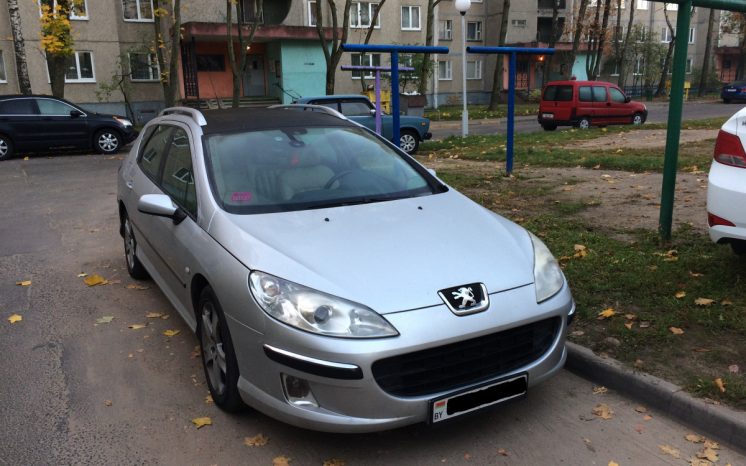 Peugeot 407 2004 полный