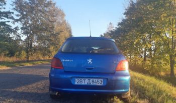 Peugeot 307 2002 полный