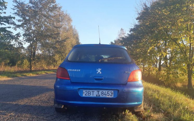 Peugeot 307 2002 полный