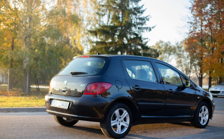 Peugeot 307 2003 полный