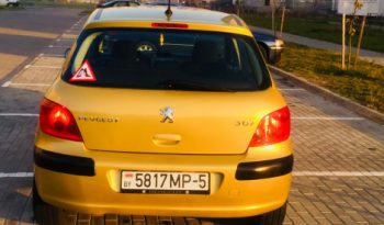 Peugeot 307 2003 полный