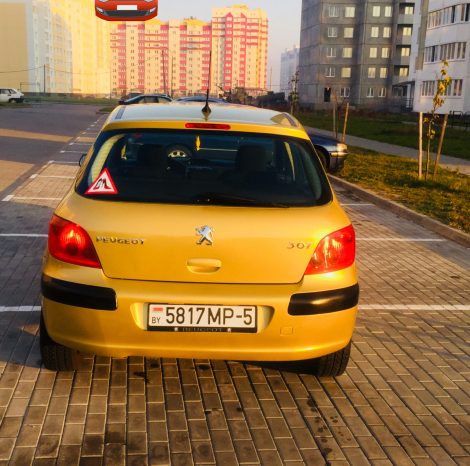 Peugeot 307 2003 полный