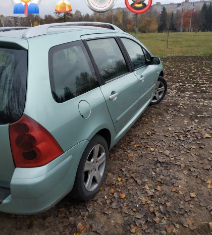 Peugeot 307 2002 полный