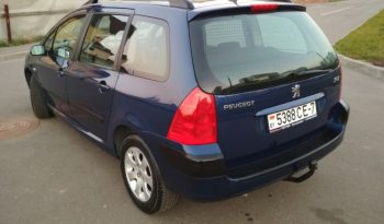 Peugeot 307 2003 полный