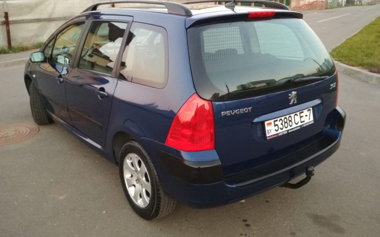 Peugeot 307 2003 полный