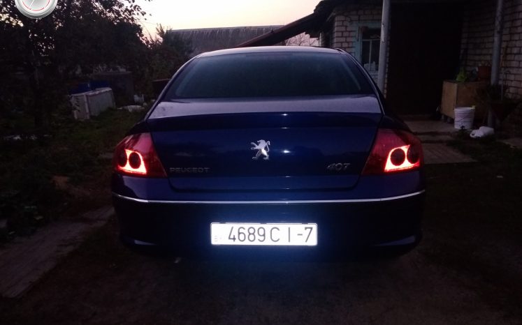 Peugeot 407 2004 полный