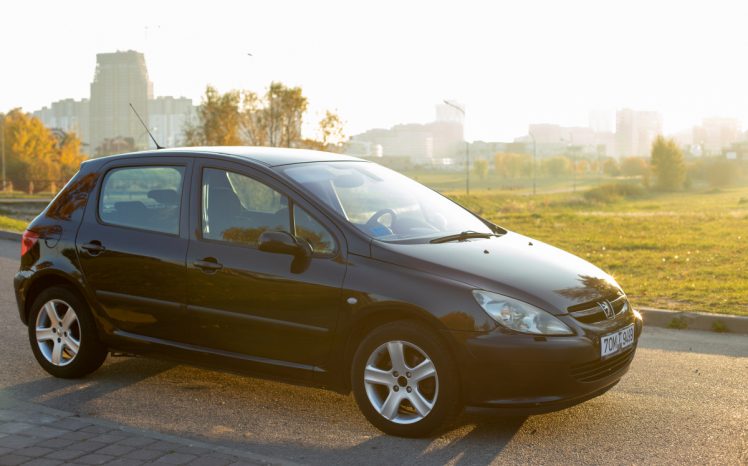 Peugeot 307 2003 полный