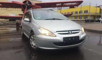 Peugeot 307 2003 полный