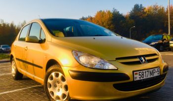 Peugeot 307 2003 полный