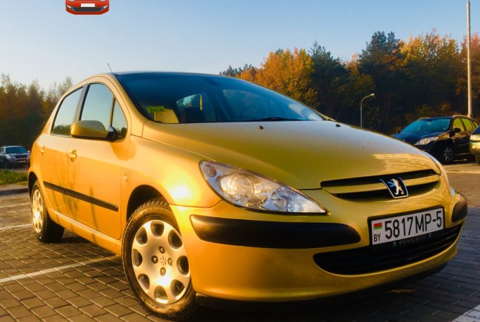 Peugeot 307 2003 полный