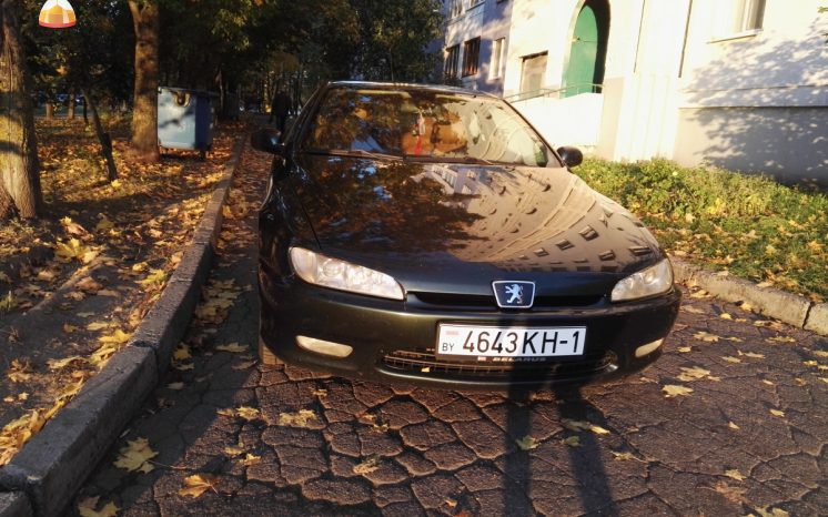 Peugeot 406 2001 полный