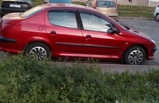 Peugeot 206 2008 полный