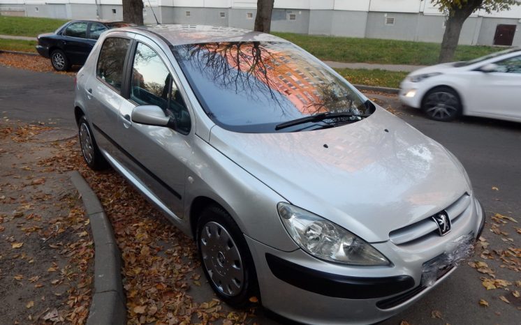 Peugeot 307 2004 полный