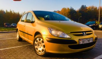 Peugeot 307 2003 полный