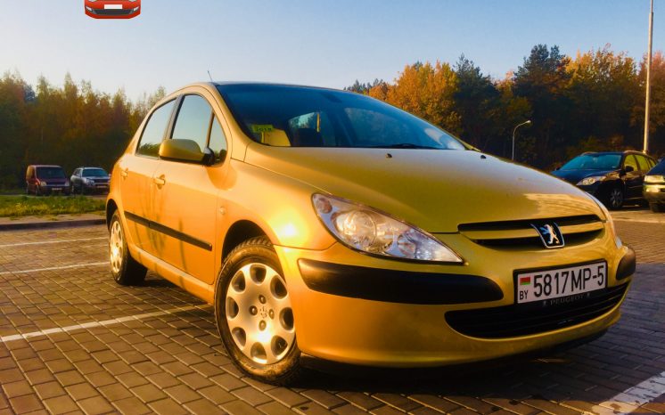 Peugeot 307 2003 полный