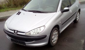 Peugeot 206 2005 полный