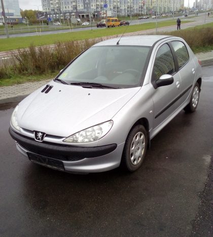 Peugeot 206 2005 полный