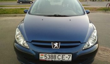 Peugeot 307 2003 полный