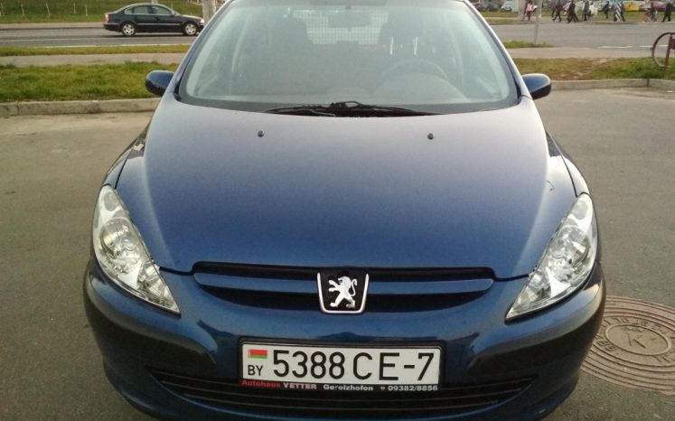 Peugeot 307 2003 полный