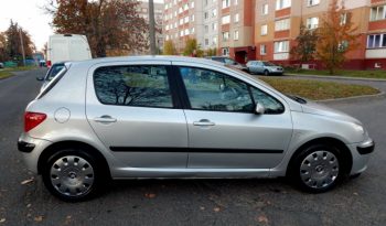 Peugeot 307 2004 полный