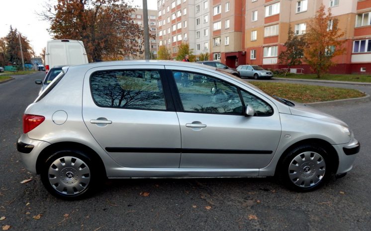 Peugeot 307 2004 полный