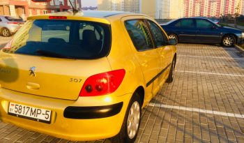 Peugeot 307 2003 полный