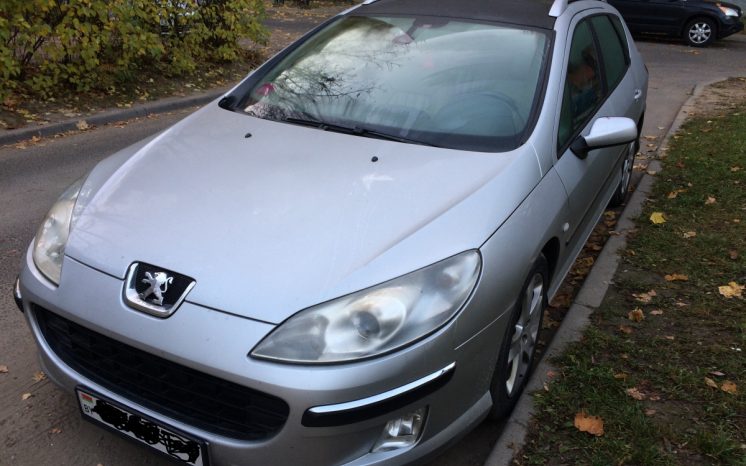 Peugeot 407 2004 полный