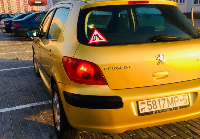 Peugeot 307 2003 полный