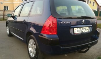 Peugeot 307 2003 полный