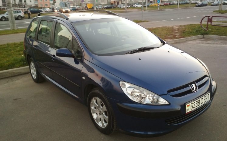 Peugeot 307 2003 полный